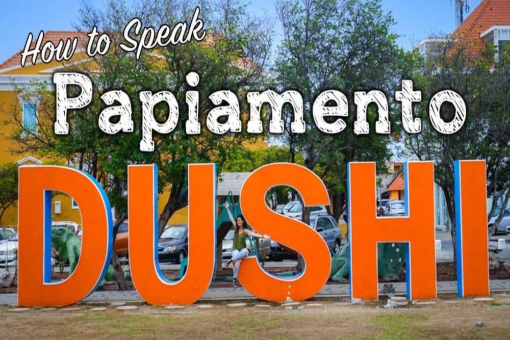 St Maarten St Martin languages