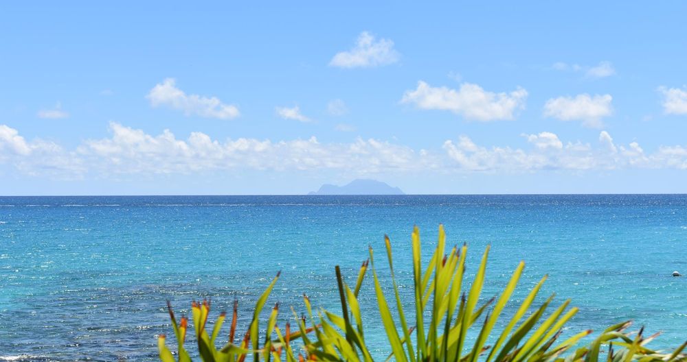indigo bay st maarten