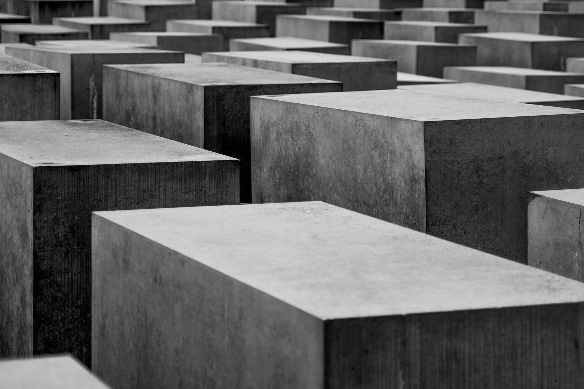 Chartres versus Auschwitz