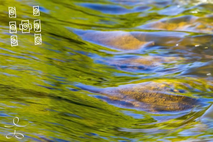 Finding Flow Reading