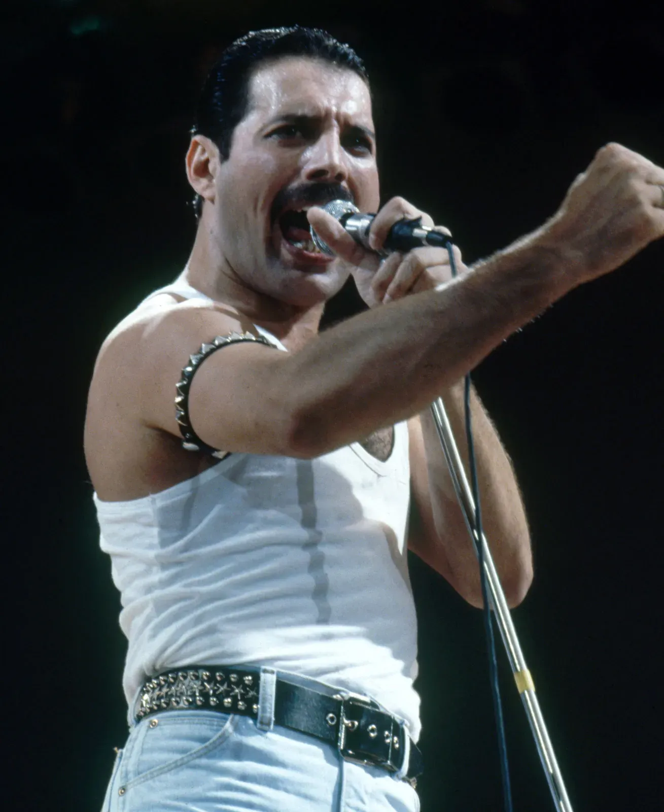 The 15 Most Iconic Rock Vocalists of All-Time: Freddie Mercury | TheMetalverse.net