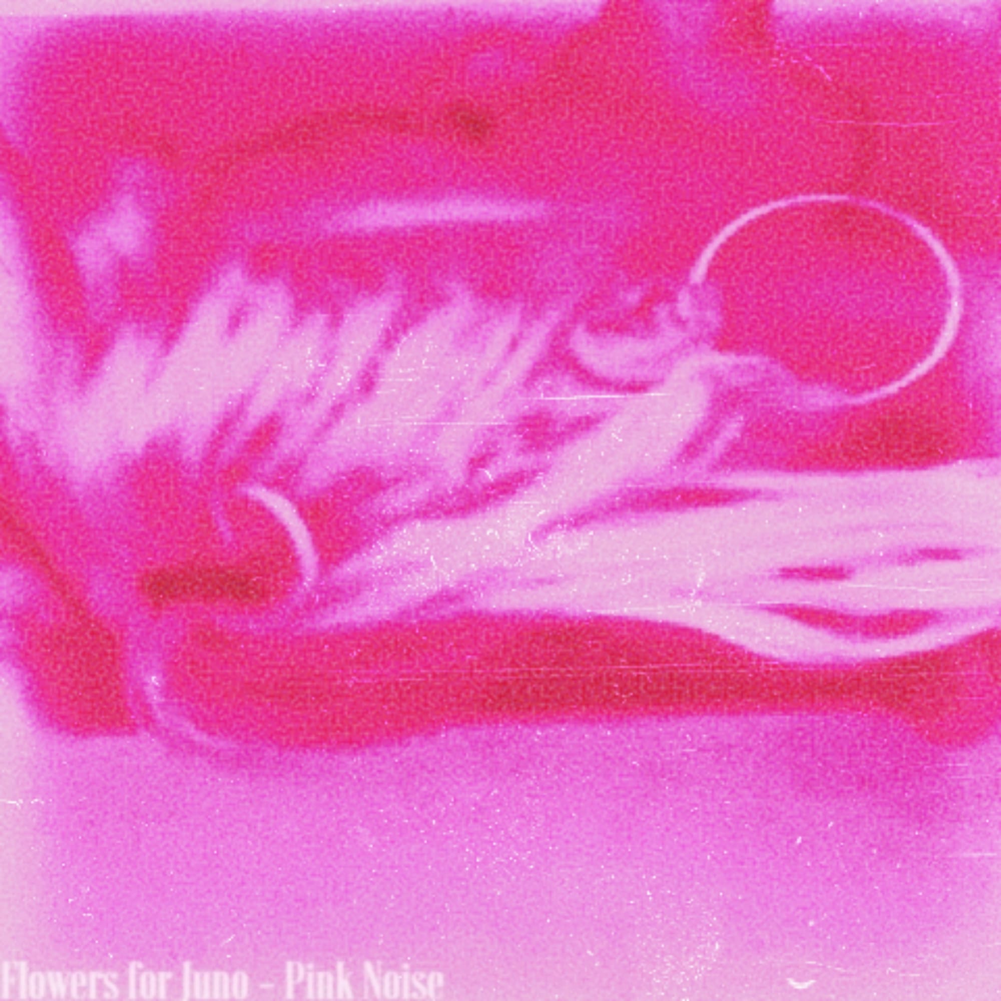 Flowers For Juno “Pink Noise” Album Review