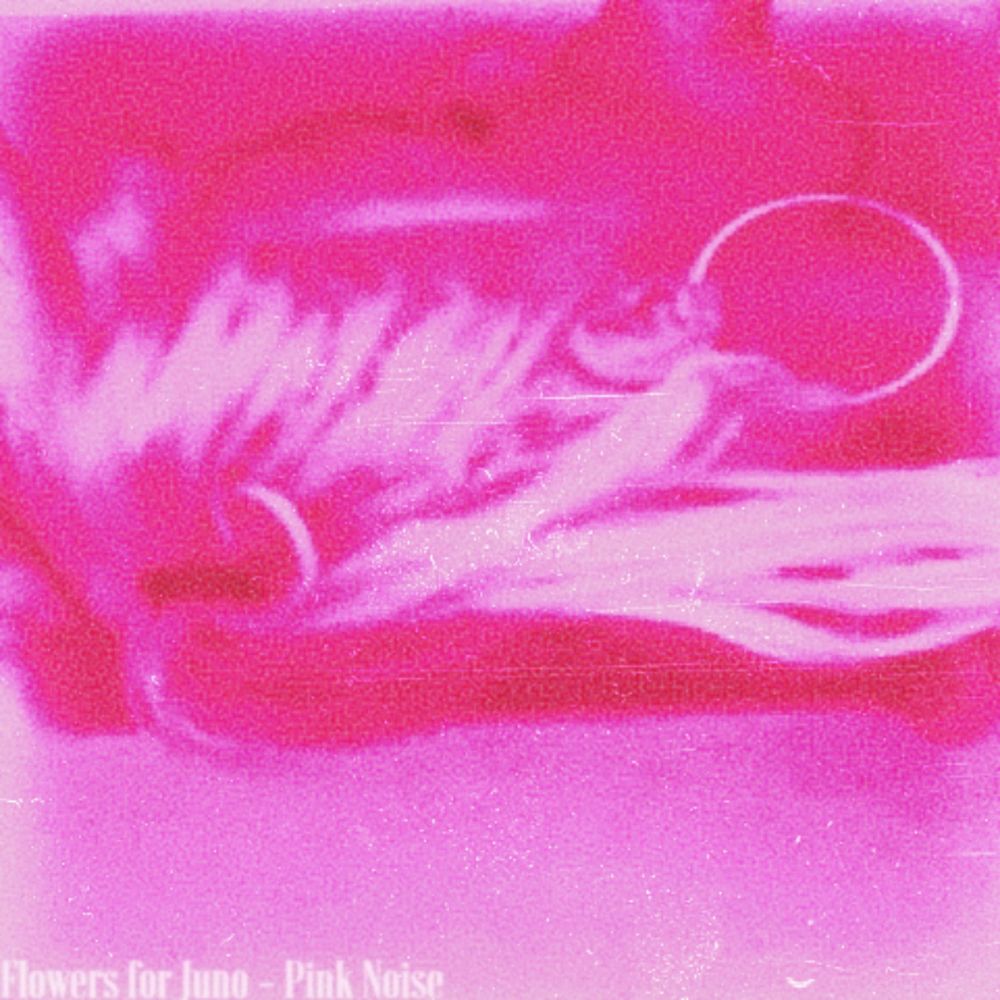 Flowers For Juno “Pink Noise” Album Review post image