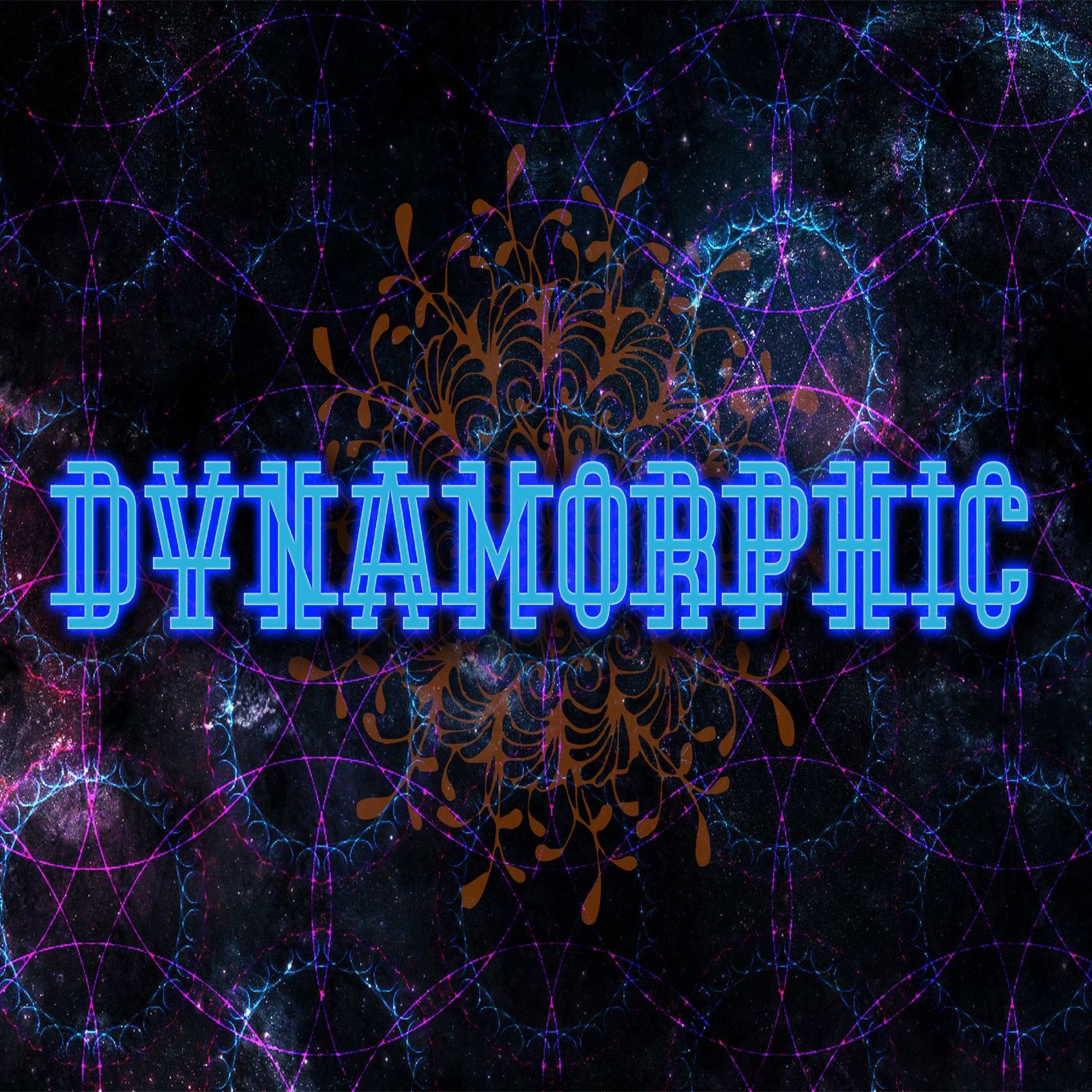 Dynamorphic Media Kit post image