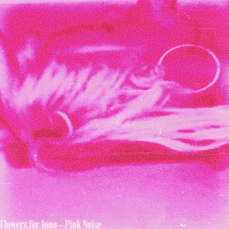 Flowers For Juno “Pink Noise” Album Review post image
