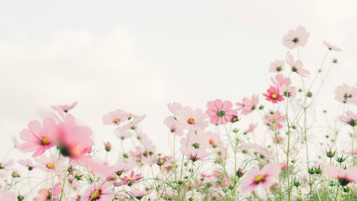 Risveglio primaverile: 5 abitudini olistiche per affrontare il cambio di stagione