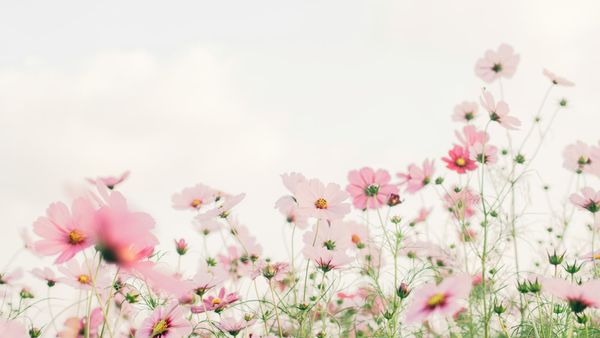 Risveglio primaverile: 5 abitudini olistiche per affrontare il cambio di stagione