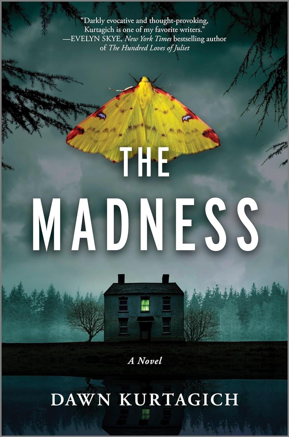 The Madness—Dawn Kurtagich