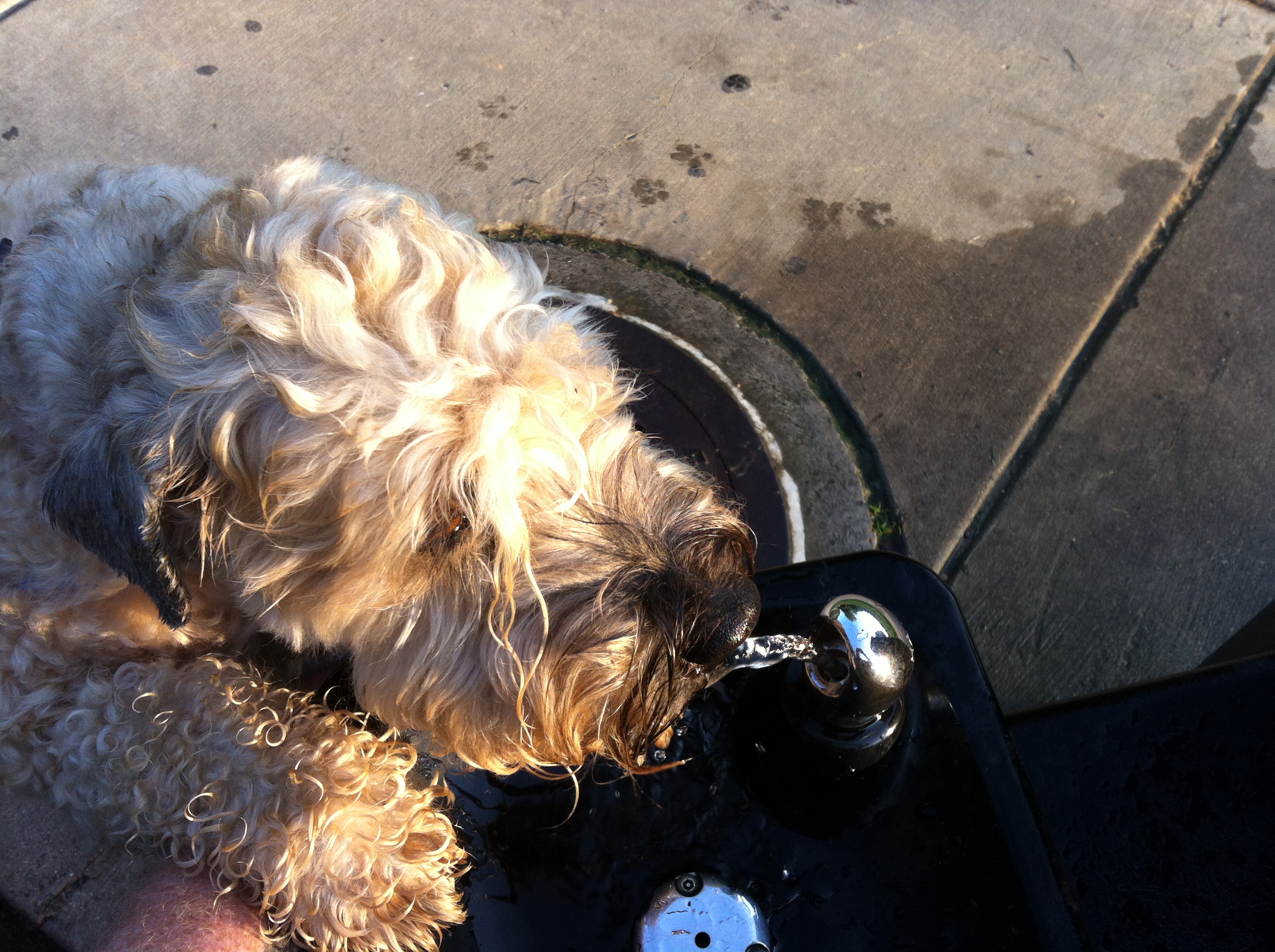 2019 Ella-gy Calendar