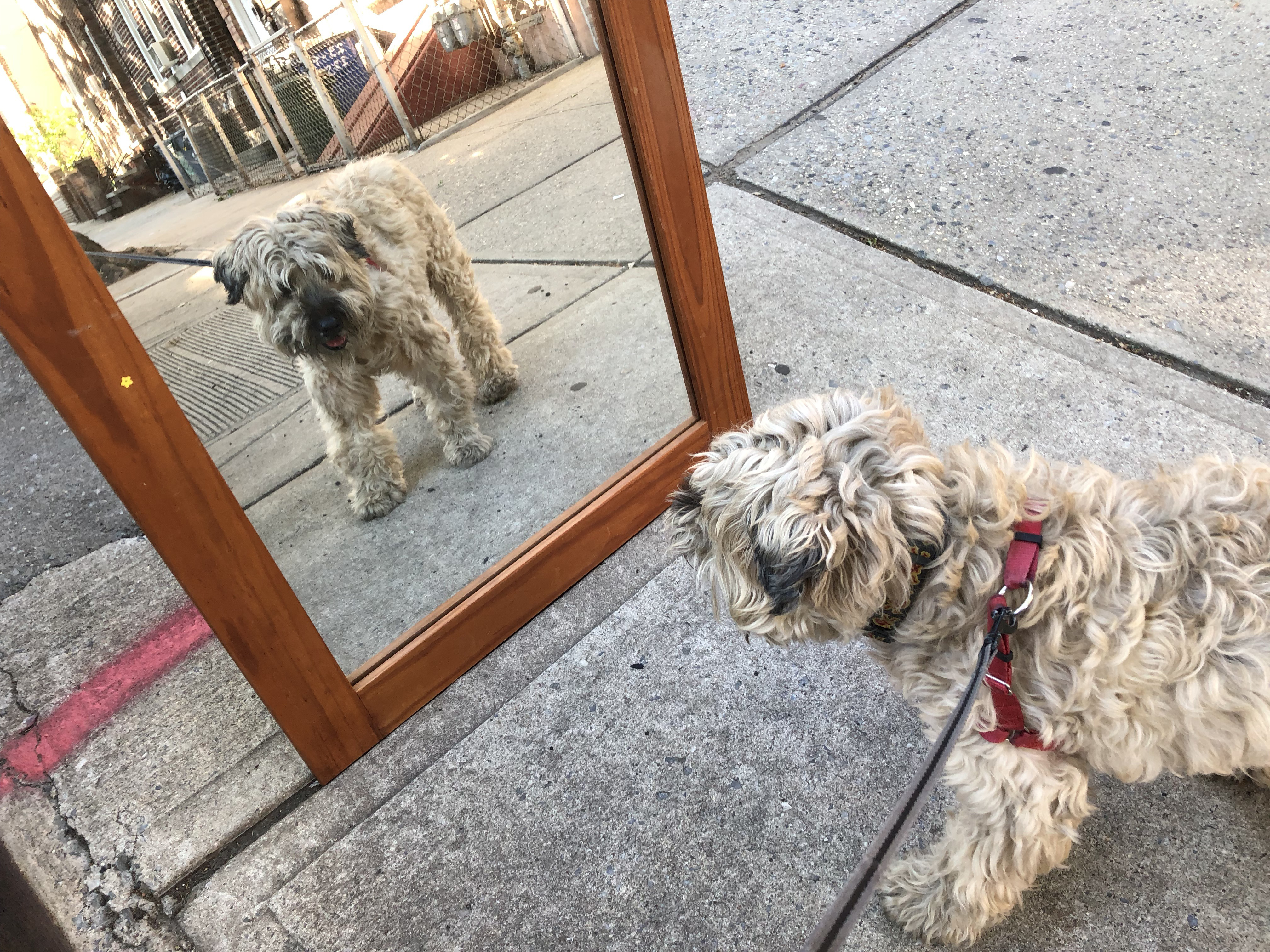 2019 Ella-gy Calendar Excerpt 3