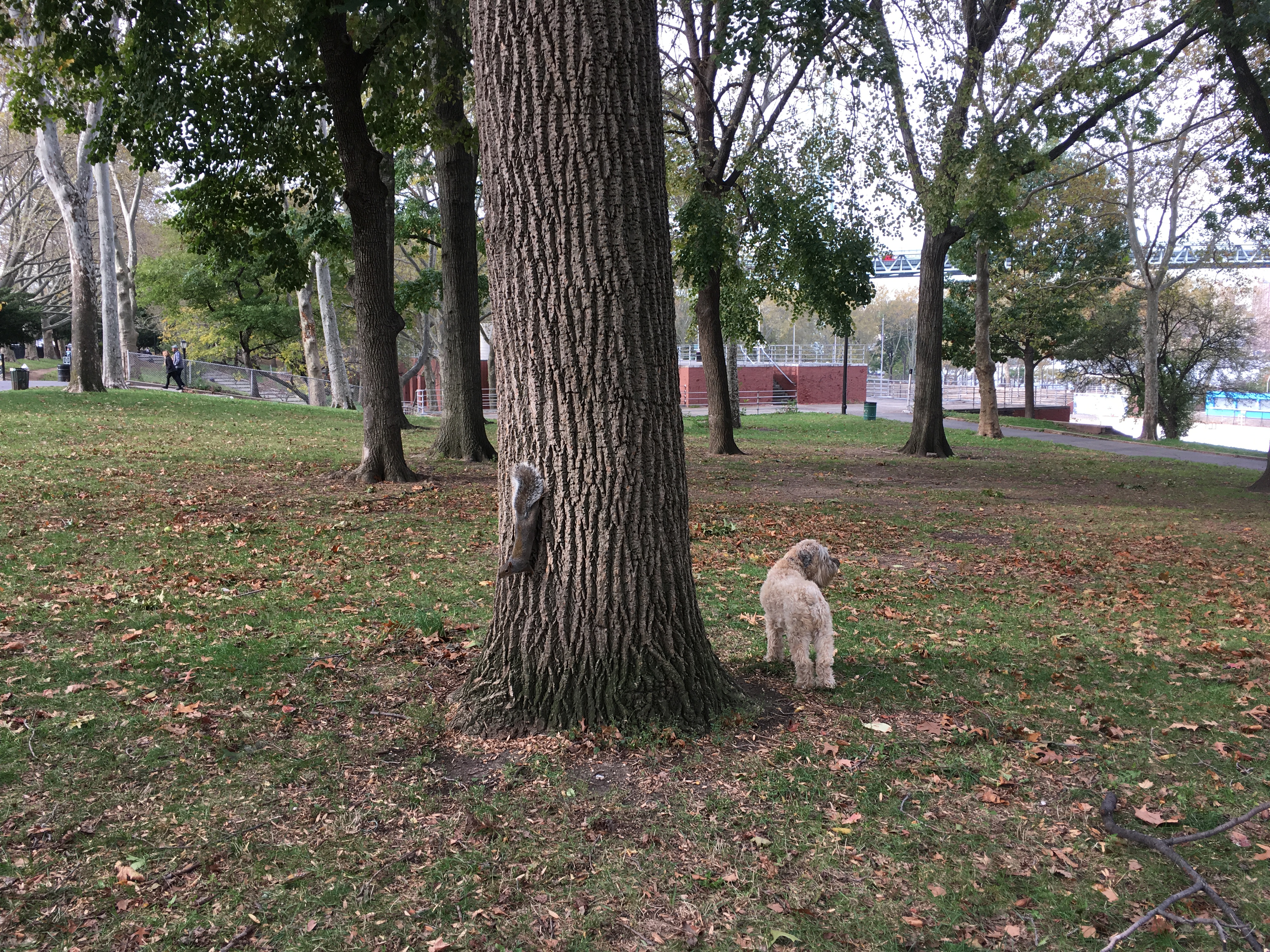 2019 Ella-gy Calendar Excerpt 2