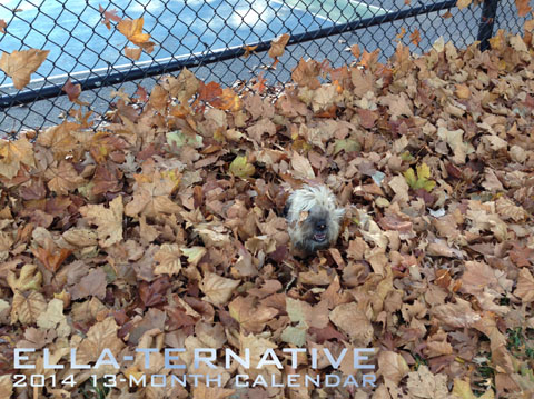 2014 Ella-Ternative 13-Month Calendar