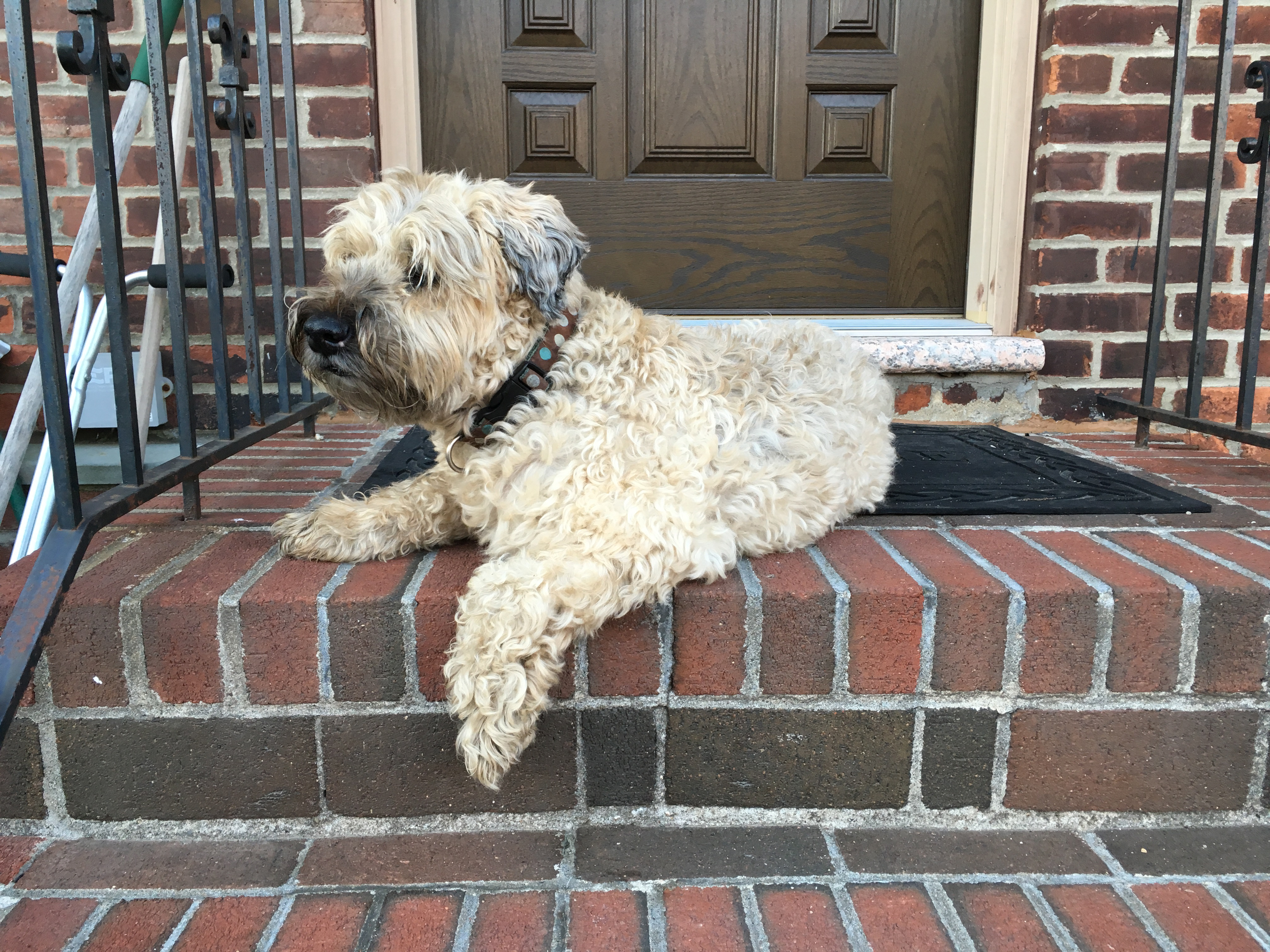 2018 Ella Good! 13-Month Calendar