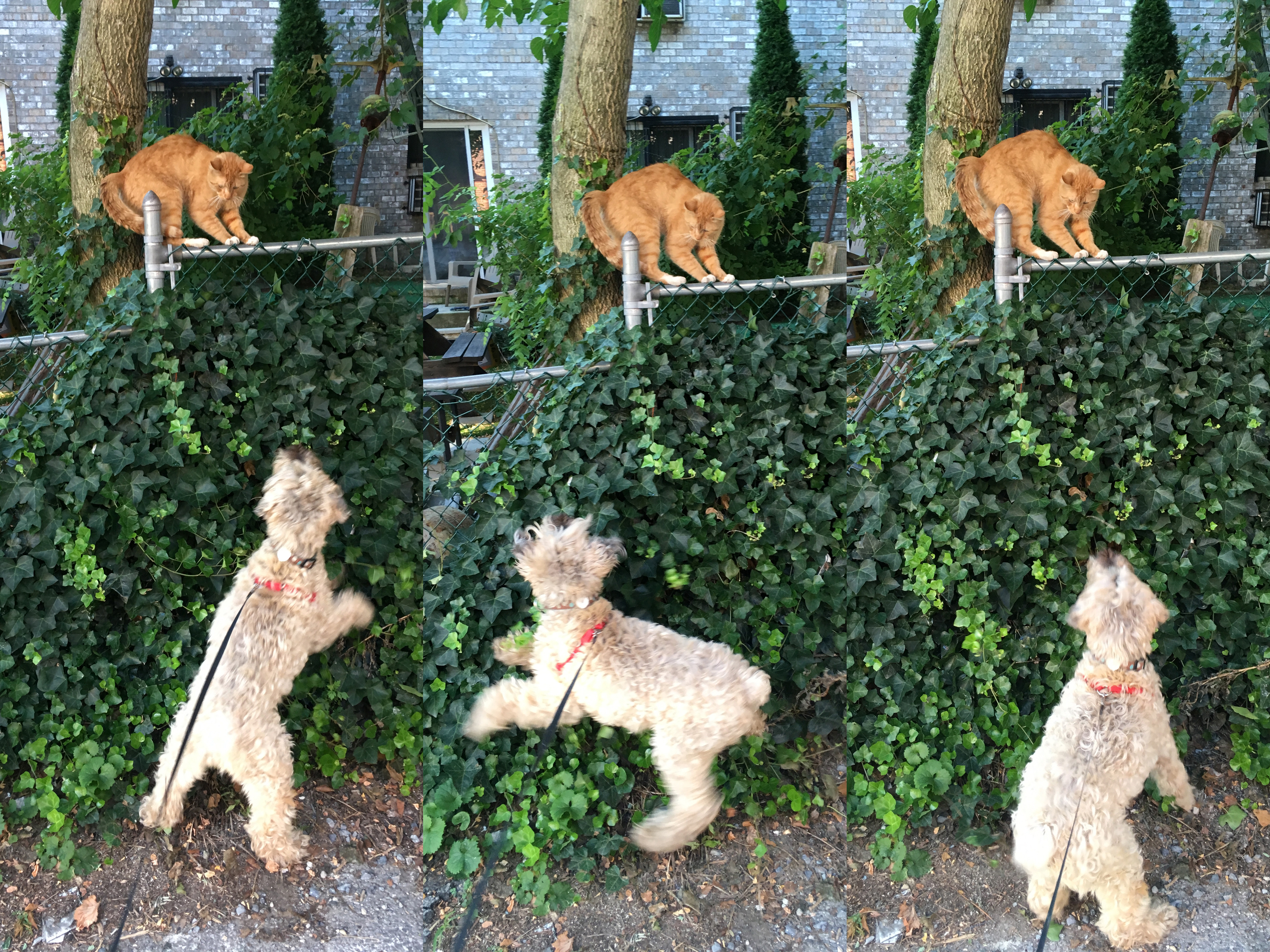 2018 Ella-tivity 13-Month Calendar 2