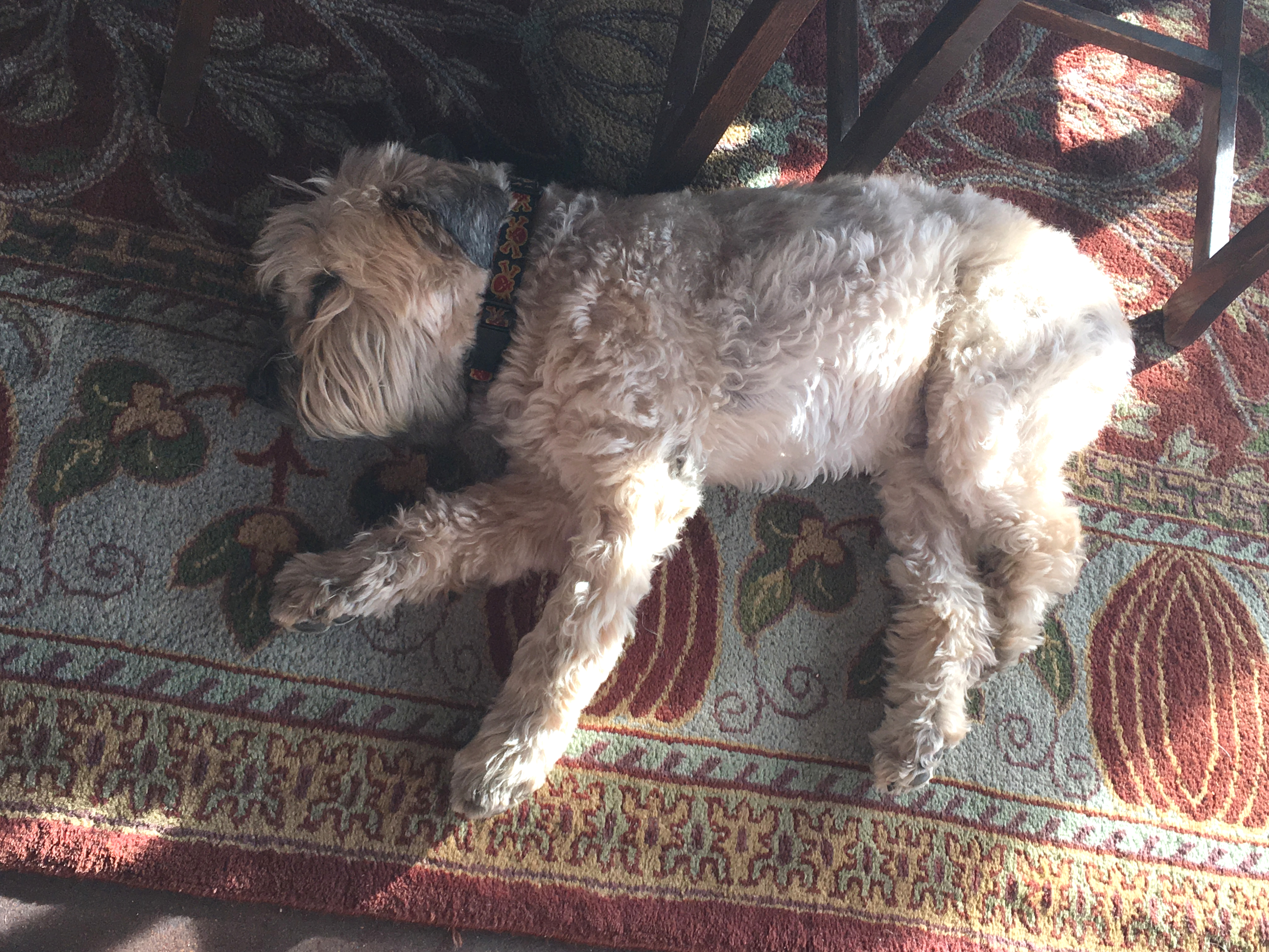 2018 Ella-tivity 13-Month Calendar 3