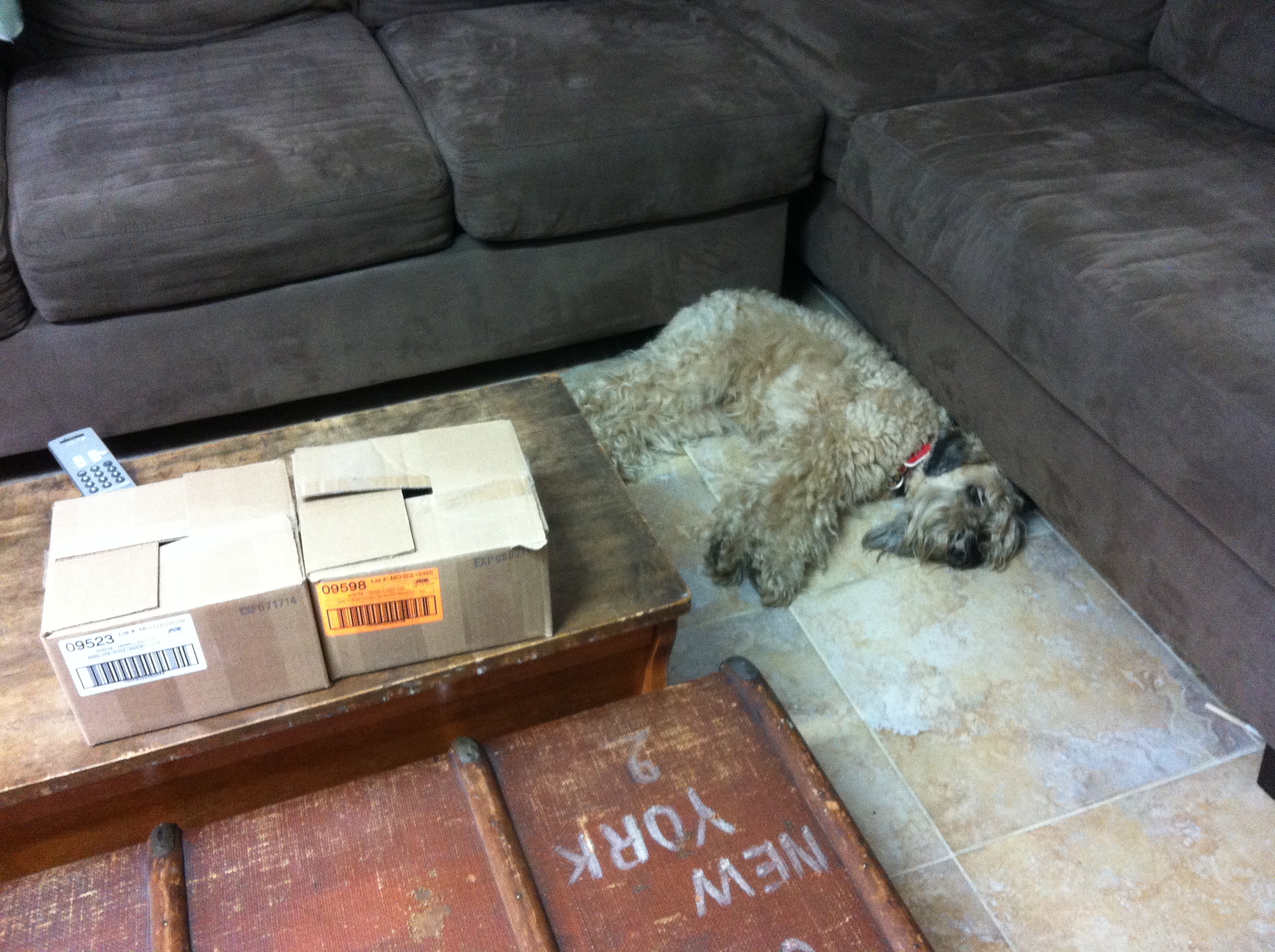 Ella collapses in the basement of her new home