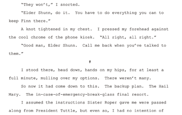 Scene break from Accidental Terrorist (manuscript version)