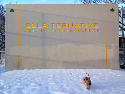 2014 Ella-Ternative 13-Month Calendar