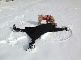 Ella's interrupting a snow angel
