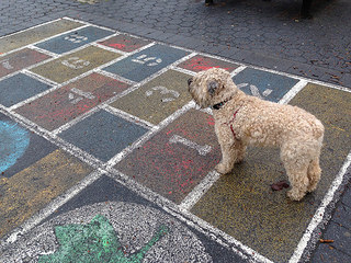 Ella's playing hopscotch