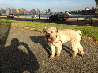 Ella's playing hopscotch