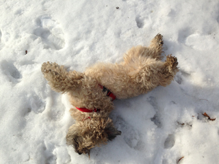 Ella's hanging out with Ella