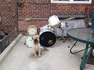 Ella's interrupting a snow angel