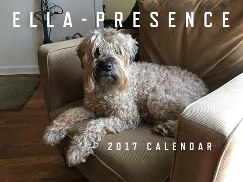 Ella-Presence 2017 13-Month Calendar