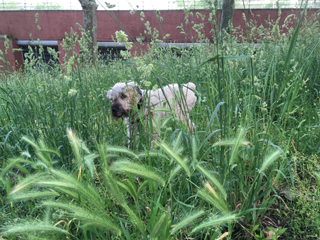 Ella's hanging out with Ella