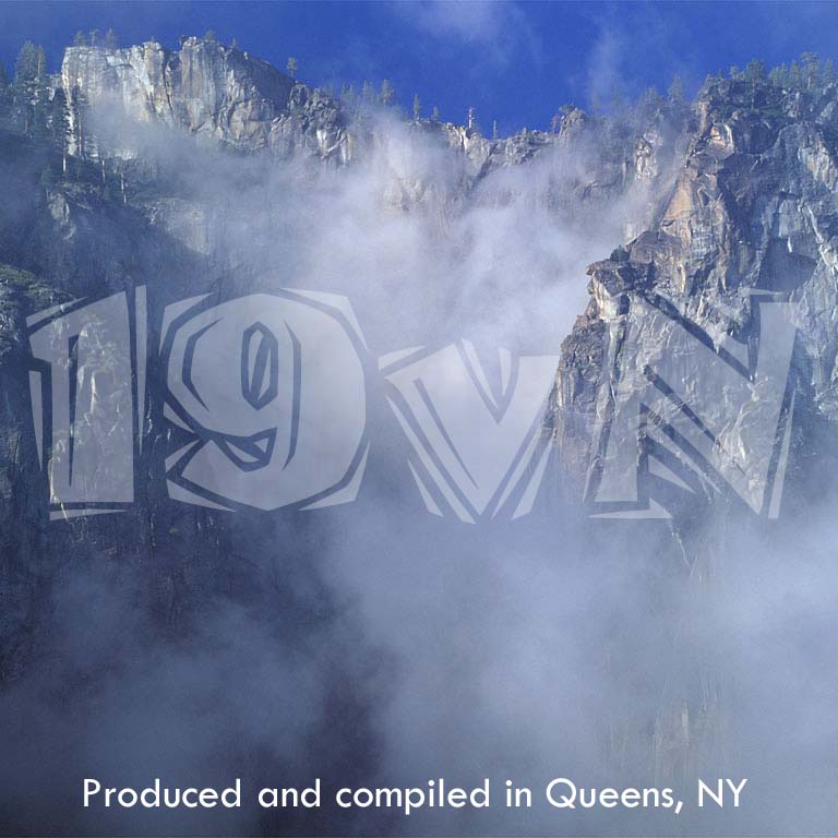 19 Against Nature: Various Artists Play the Music of Steely Dan