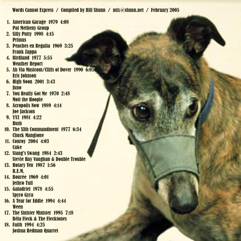 Words Cannot Express