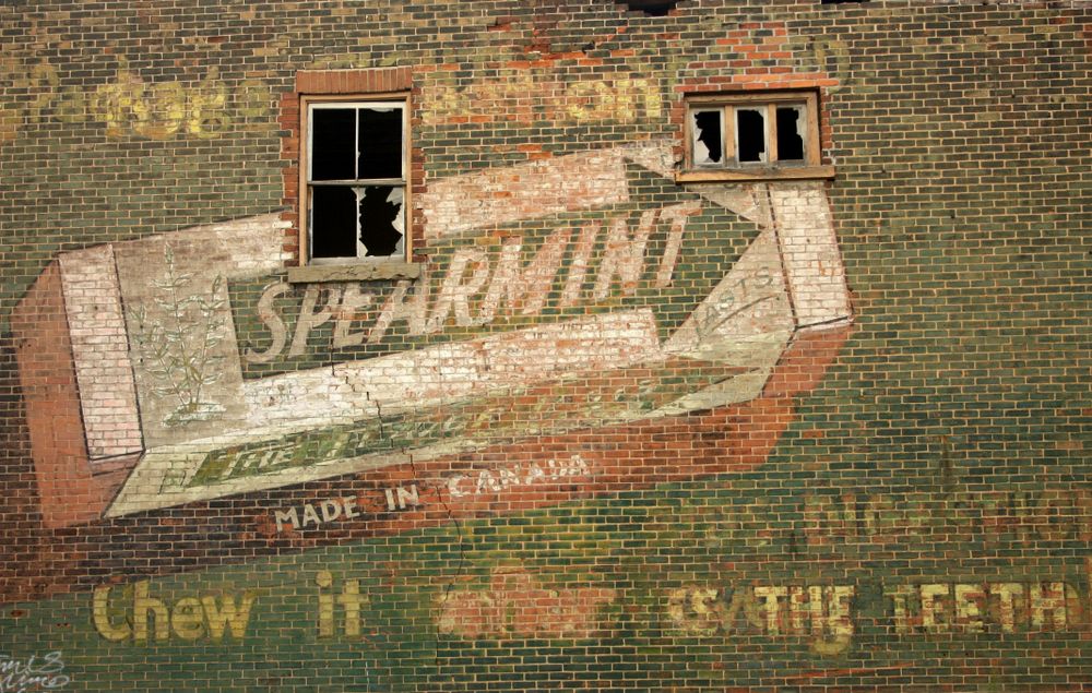 A Comeback with the Ring of Truth