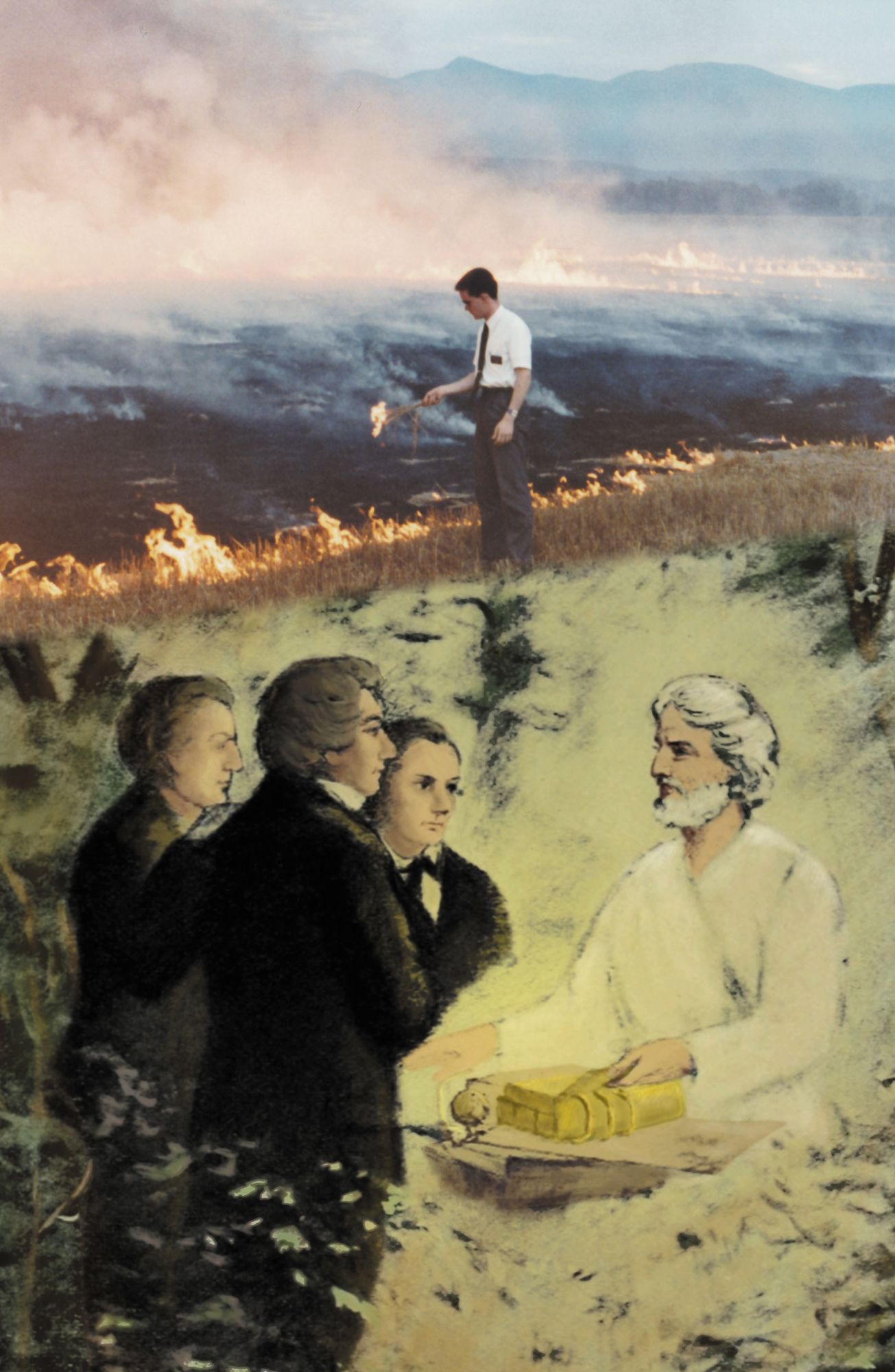 The Accidental Terrorist by William Shunn