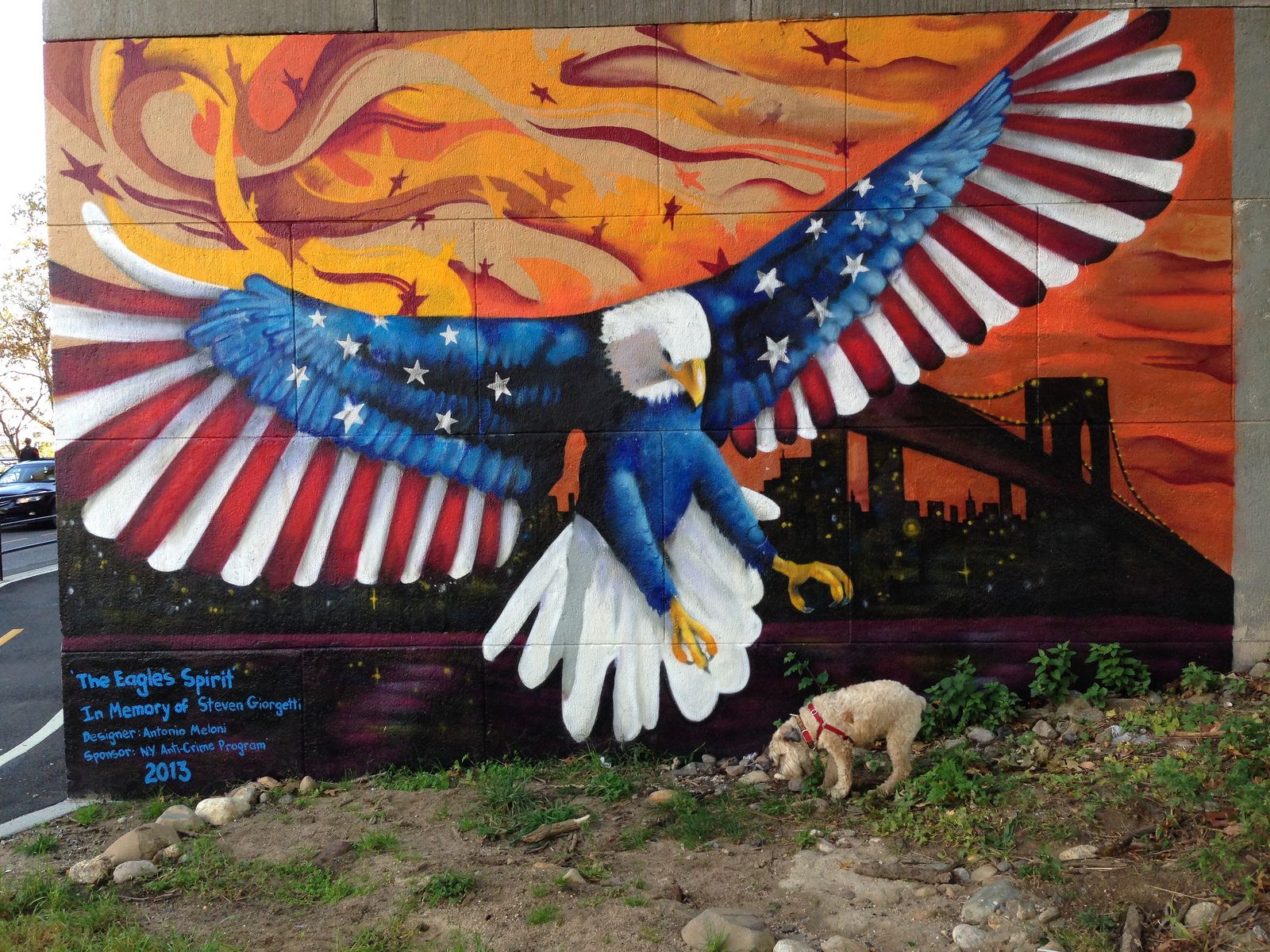 Memo to My Socialist Dog