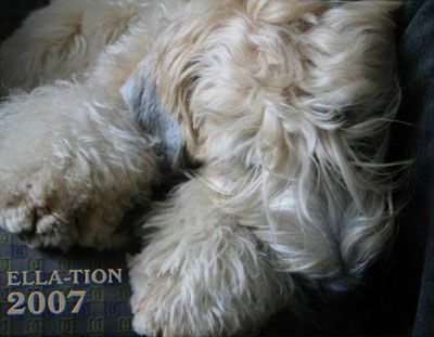 Ella-tion 2007 12-Month Calendar