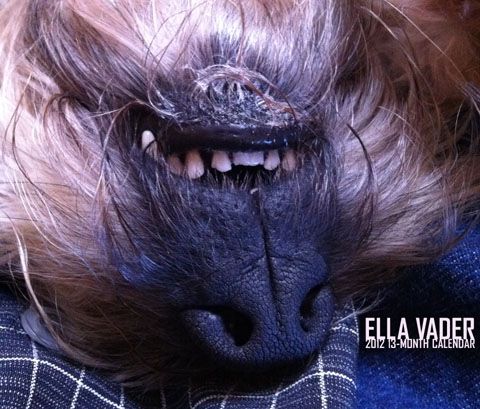 Ella Vader 2012 13-Month Calendar