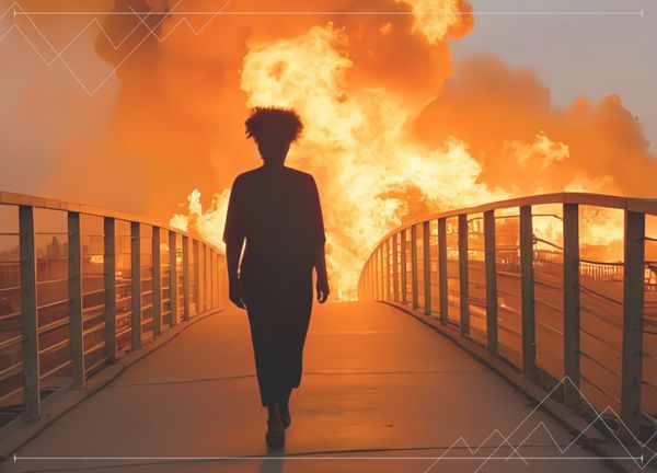 Unapologetic Bridge Burning