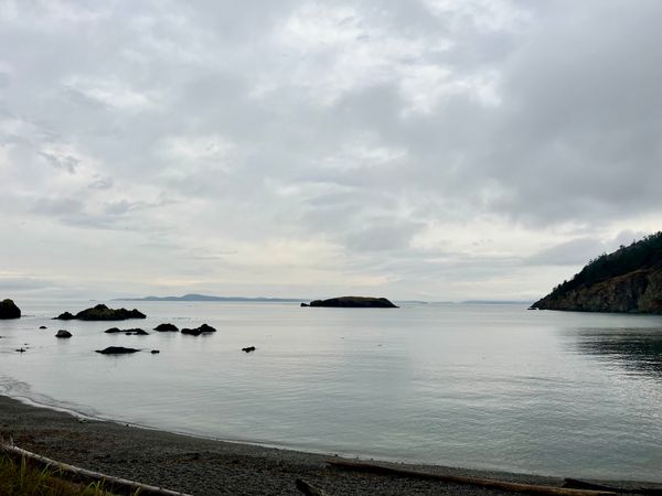 Mind, Meaning + Matter: Winter Edition