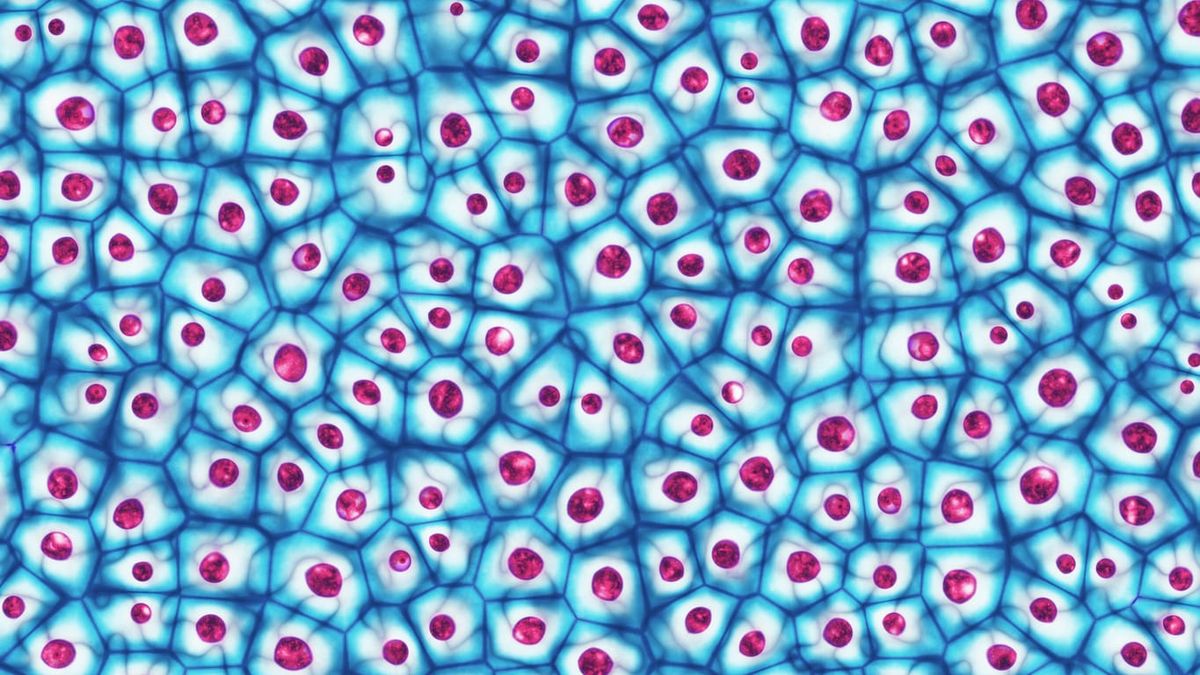 Your Body Is Recording Everything You Think