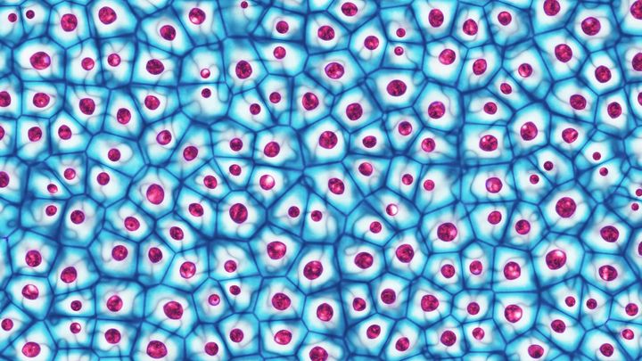 Your Body Is Recording Everything You Think