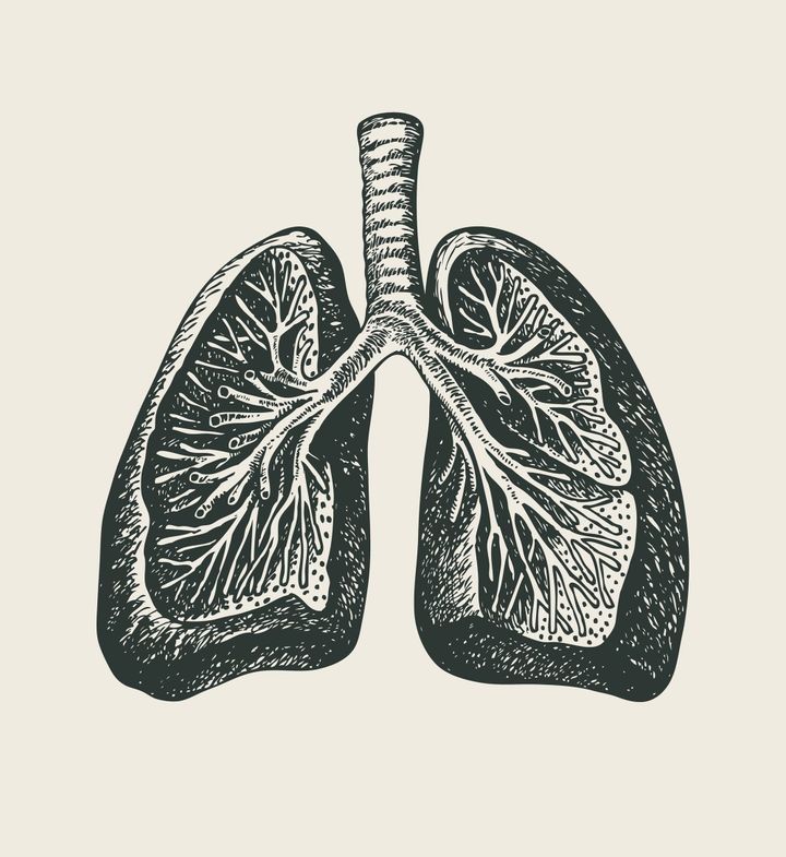 What Lives in Your Lungs When You Can't Cry