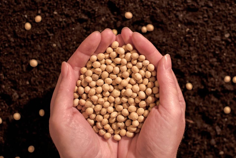 Protein Is Having a Moment; But Are You Choosing the Right Kind?