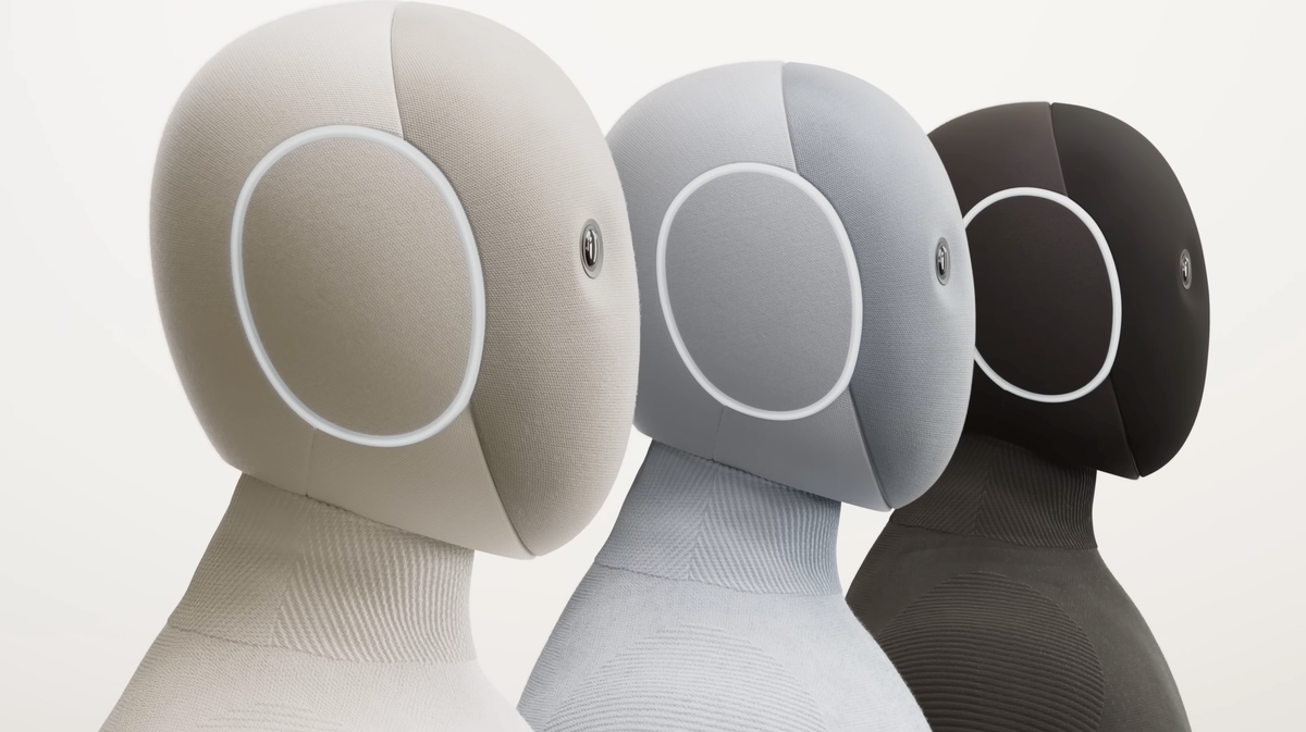 The first house robot makes you wonder ...