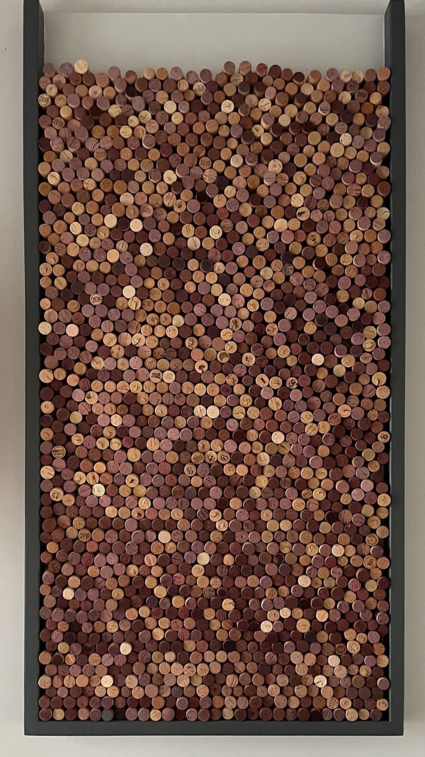 Cork Frame: Visualizing the Colours of Wine