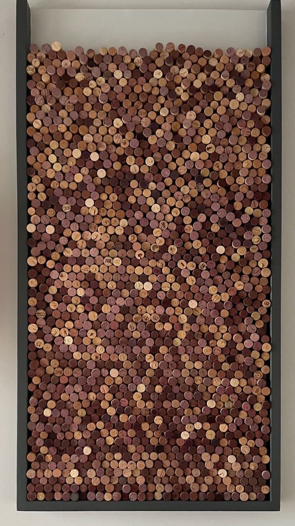 Cork Frame: Visualizing the Colours of Wine