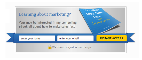 optin form below post