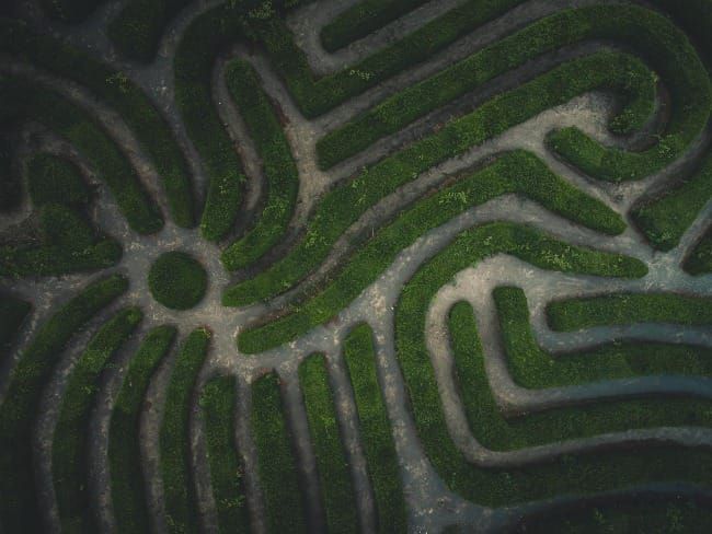 The Art of Creation: Path for Peace