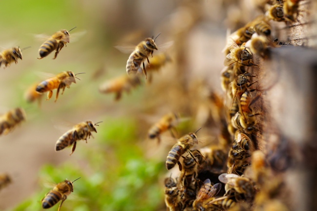 The Art of Creation: Creating a Buzz with Jazz