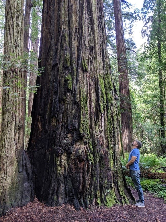 The Way Forward: How My Faith Has Shifted #7—Eco Discipleship of My Mind and Body