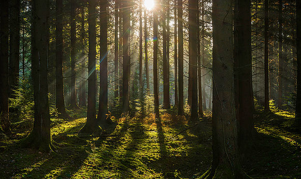 The Way Forward: Can We Help Each Other Grow?